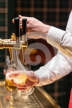 Hands of bartender pour into glass draught light beer from tap in bar