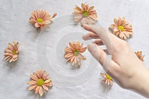 Hands of a beautiful woman on a white background. Delicate palm with natural manicure, clean skin. Light white nails. Hand Care