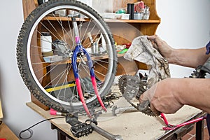 Hands of bicycle mechanic cleaning chainring bike