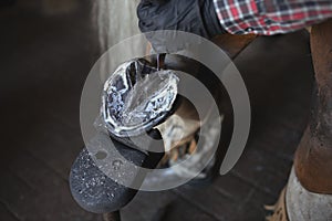 hands blacksmith in black gloves trying on iron horseshoe on horse& x27;s hoof close up