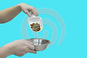 Hands on a blue background spill animal feed. Pet food dosages