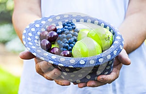 Hands blue Hat Fruits garden