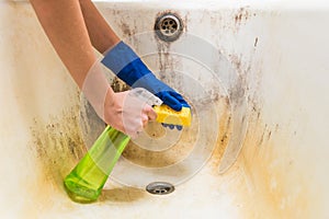 Hands in blue rubber worker hand gloves hold sponge and spray with detergent clean bath tub covered in fungus, dirt and mold