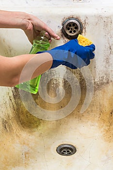 Hands in blue rubber worker handgloves hold sponge and spray with cleaning liquid trying to wash bath tub