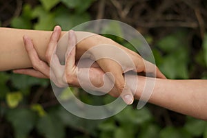 Hands with bottom of green wall with plants