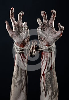 Hands bound,bloody hands, mud, rope, on a black background, isolated, kidnapping, zombie, demon