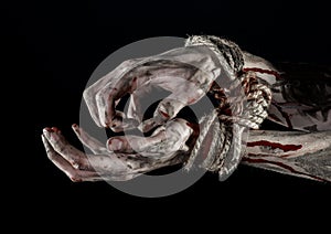 Hands bound,bloody hands, mud, rope, on a black background, isolated, kidnapping, zombie, demon