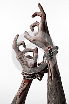 Hands bound,bloody hands, mud, rope, on a white background, isolated, kidnapping, zombie, demon