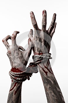 Hands bound,bloody hands, mud, rope, on a white background, isolated, kidnapping, zombie, demon