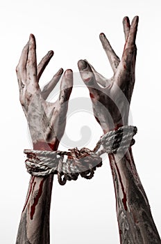 Hands bound,bloody hands, mud, rope, on a white background, isolated, kidnapping, zombie, demon