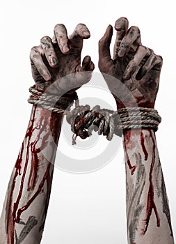 Hands bound,bloody hands, mud, rope, on a white background, isolated, kidnapping, zombie, demon