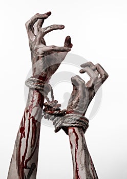 Hands bound,bloody hands, mud, rope, on a white background, isolated, kidnapping, zombie, demon