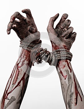 Hands bound,bloody hands, mud, rope, on a white background, isolated, kidnapping, zombie, demon