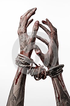 Hands bound,bloody hands, mud, rope, on a white background, isolated, kidnapping, zombie, demon