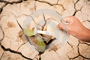 Hands of boy watering little green plant on crack dry ground