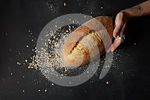 Hands with a bread