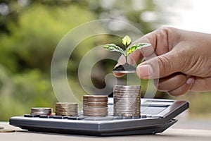 The hands of business people are planting small trees on coins and calculators, including a blurred green background.