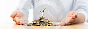 Hands of businessman putting coin into plant sprouting growing up to profit, demonstrating financial growth through saving plans