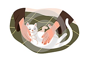 Hands caressing cute cat. Woman stroking kitten, home animal. Female touching adorable kitty, lying, relaxing, enjoying photo