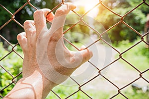 Hands catching mesh cage. The prisoner want freedom. Man lack of Independence. Cross processing and Split tone Instragram like pro