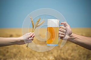 Hands cheersing with mug of beer and wheat ears on harvest field