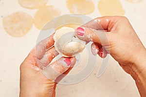 Hands of chef with dumplings