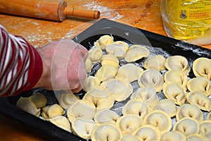 The hands of the chef placed the dumplings on a baking sheet. Manual preparation of homemade dumplings.
