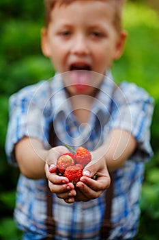 Hands of a child holding fresh strawberries, focus on hands