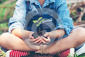 Hands child holding young plants keep environment on the back soil in the nature park of growth of plant