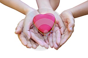 The hands of children and adults in the family have a heart in their hands. Isolate