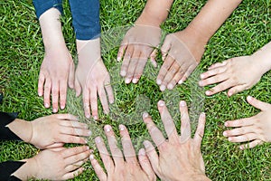 Hands of children on the lawn