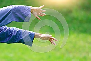 Hands in the Chinese martial art Tai Chi Chuan