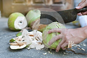 Hands chop coconut