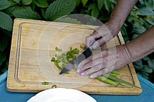 Hands Chopping Onion