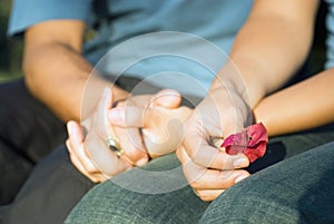 Hands Clasping a Red Flower