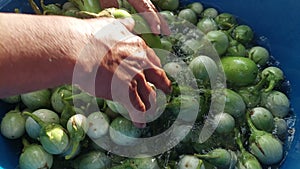 hands cleaning eggplant with water