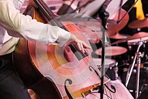 Hands and contrabass