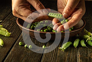 The hands of the cook clean the pods of green peas. Work environment on the kitchen table. Cooking pea dish in the kitchen