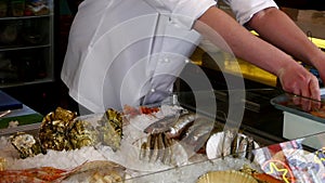 Hands of the cook superimpose fresh oysters on ice in a seafood restaurant.