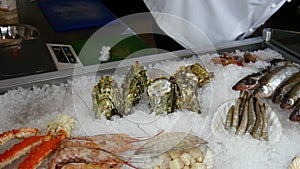 Hands of the cook superimpose fresh oysters on ice in a seafood restaurant.