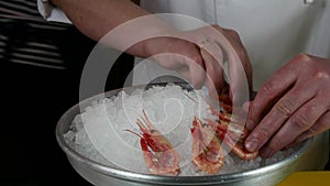 Hands of the cook superimpose fresh shrimp on ice in a seafood restaurant.