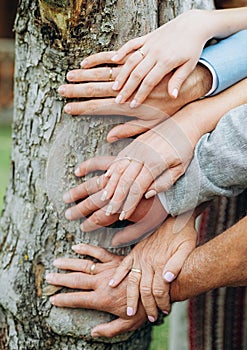 hands couples three generations family tree conceptual