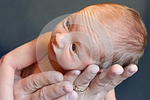 Hands cradling newborn baby photo