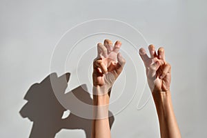 Hands with curled fingers in bright light on a white background.