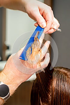 Hands cut wet female hair