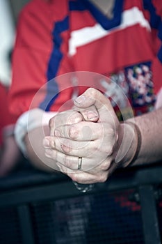 Hands of Czech Hockey Fan