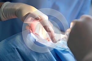 Hands of a dental surgeon in protective gloves