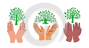 Hands of different people holding a green tree