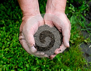 Hands & dirt