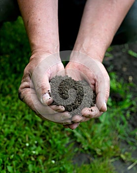 Hands & dirt